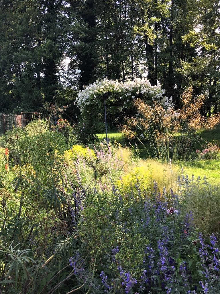 2019 06 06 21.03.12.000 1