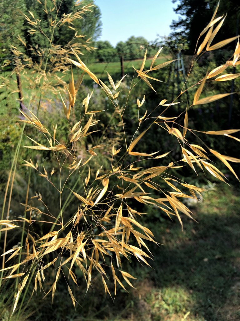 2019 07 21 15.49.22.865